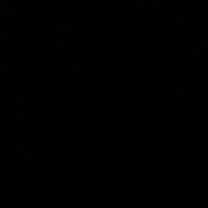 Meet your Posher, Jade